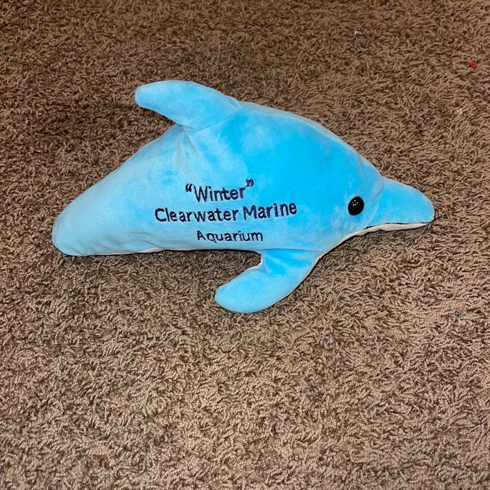 winter the dolphin plush toy
